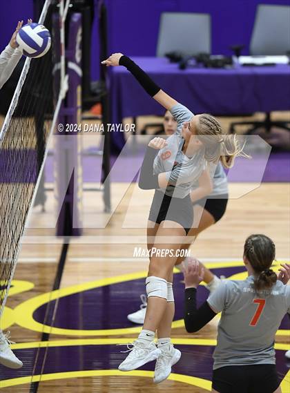 Thumbnail 2 in Springtown @ Godley photogallery.