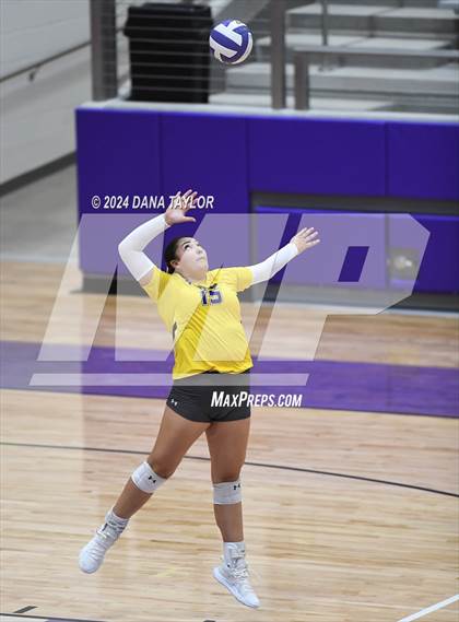 Thumbnail 2 in Springtown @ Godley photogallery.