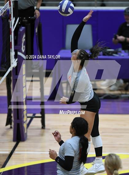 Thumbnail 3 in Springtown @ Godley photogallery.