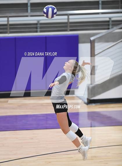 Thumbnail 3 in Springtown @ Godley photogallery.
