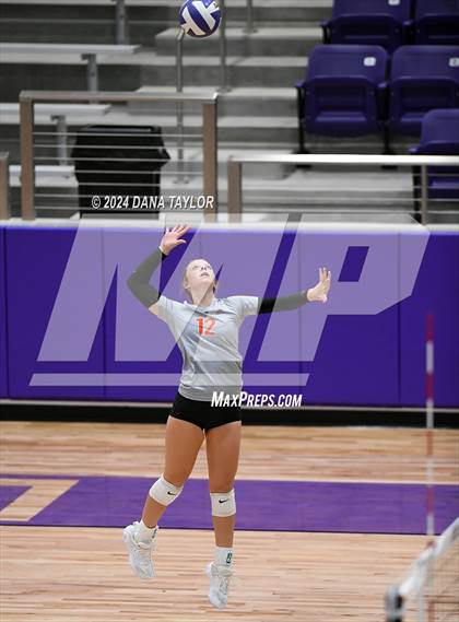 Thumbnail 2 in Springtown @ Godley photogallery.