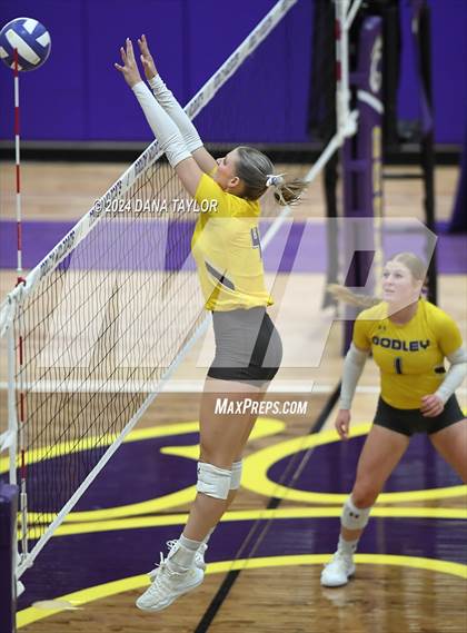 Thumbnail 2 in Springtown @ Godley photogallery.