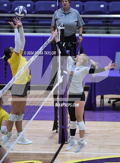 Thumbnail 2 in Springtown @ Godley photogallery.