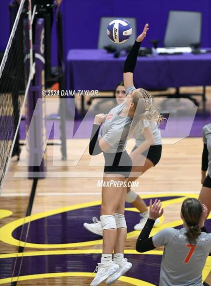 Thumbnail 1 in Springtown @ Godley photogallery.