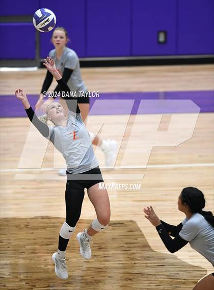 Thumbnail 1 in Springtown @ Godley photogallery.