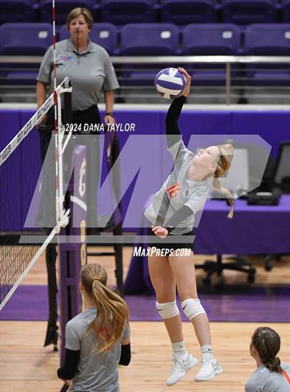 Thumbnail 3 in Springtown @ Godley photogallery.