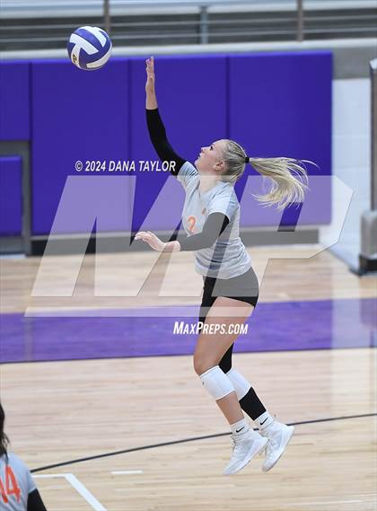 Thumbnail 2 in Springtown @ Godley photogallery.