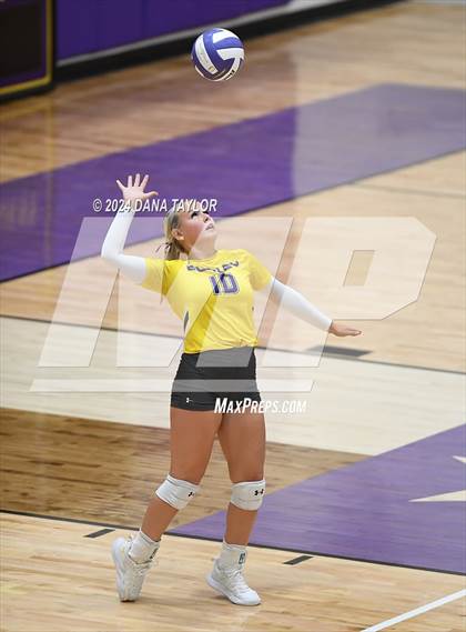 Thumbnail 1 in Springtown @ Godley photogallery.