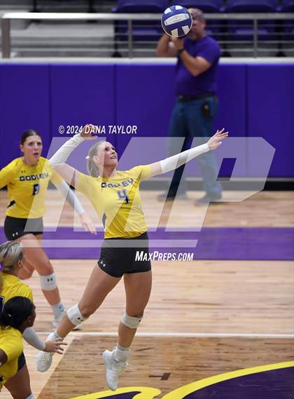 Thumbnail 1 in Springtown @ Godley photogallery.