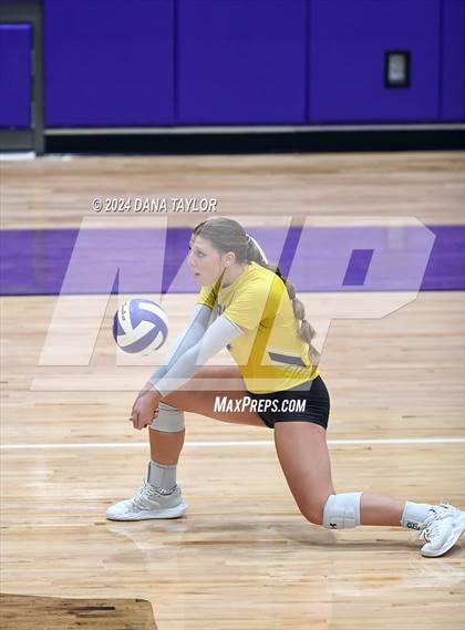 Thumbnail 1 in Springtown @ Godley photogallery.