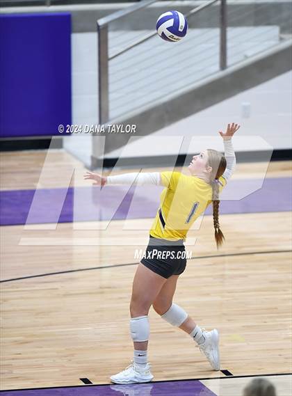 Thumbnail 1 in Springtown @ Godley photogallery.