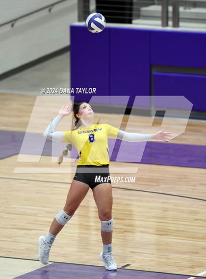 Thumbnail 1 in Springtown @ Godley photogallery.