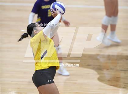 Thumbnail 3 in Springtown @ Godley photogallery.