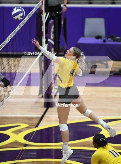 Thumbnail 1 in Springtown @ Godley photogallery.
