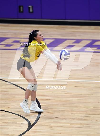 Thumbnail 3 in Springtown @ Godley photogallery.