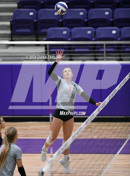 Thumbnail 2 in Springtown @ Godley photogallery.