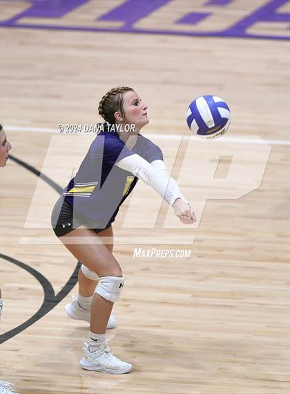Thumbnail 1 in Springtown @ Godley photogallery.