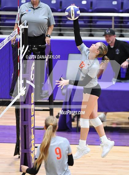 Thumbnail 1 in Springtown @ Godley photogallery.