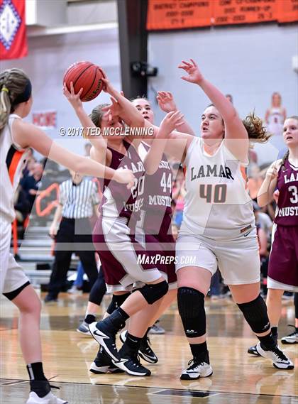 Thumbnail 2 in Lamar vs Perryville (AAA 3A Conderence 2nd Round Playoff) photogallery.