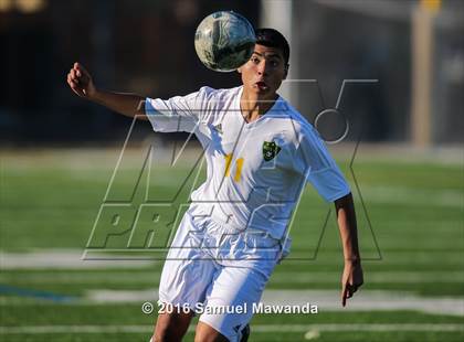 Thumbnail 3 in Royal vs  Birmingham (Valley Kick off Classic) photogallery.