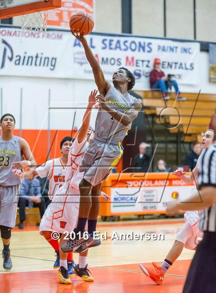 Thumbnail 3 in Inderkum @ Woodland photogallery.