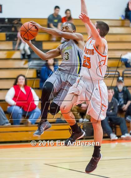 Thumbnail 2 in Inderkum @ Woodland photogallery.