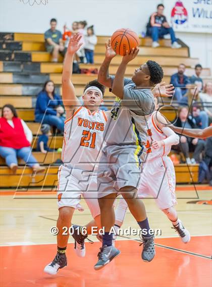Thumbnail 2 in Inderkum @ Woodland photogallery.
