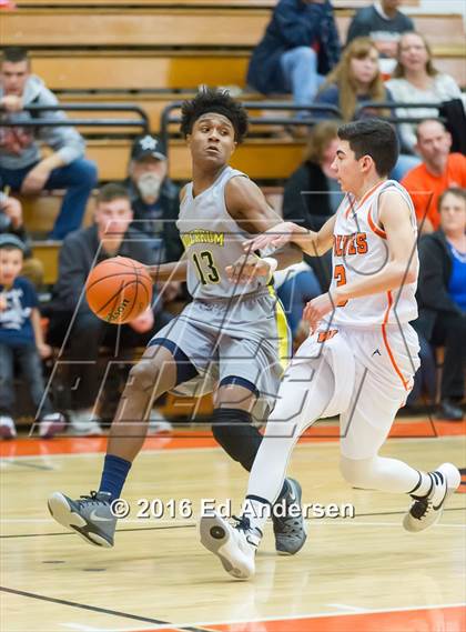 Thumbnail 2 in Inderkum @ Woodland photogallery.