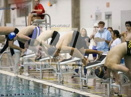 Thumbnail 3 in Royse City Swim Meet photogallery.
