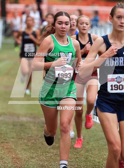 Thumbnail 1 in UIL 4A Girls Cross Country State Final photogallery.