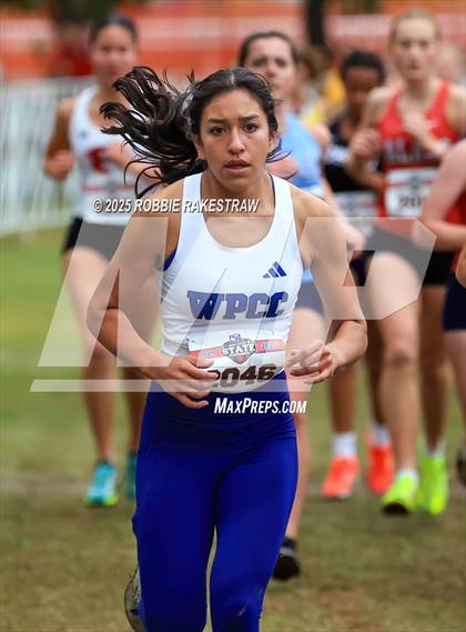 Thumbnail 1 in UIL 4A Girls Cross Country State Final photogallery.