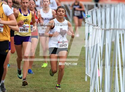 Thumbnail 1 in UIL 4A Girls Cross Country State Final photogallery.