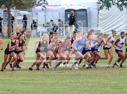 Thumbnail 3 in UIL 4A Girls Cross Country State Final photogallery.