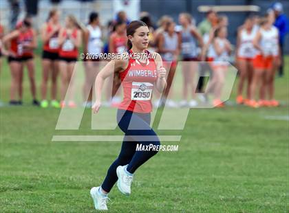Thumbnail 1 in UIL 4A Girls Cross Country State Final photogallery.
