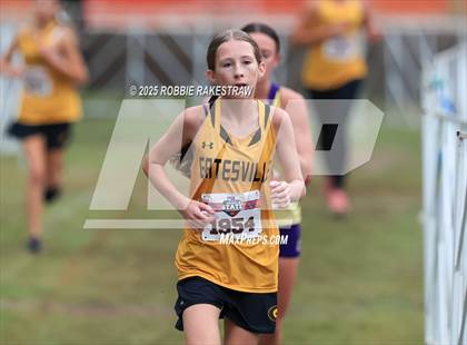 Thumbnail 1 in UIL 4A Girls Cross Country State Final photogallery.