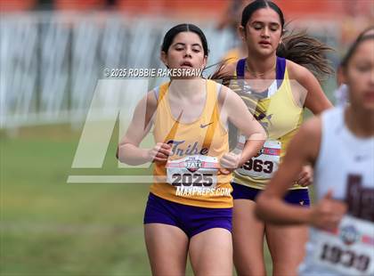 Thumbnail 3 in UIL 4A Girls Cross Country State Final photogallery.