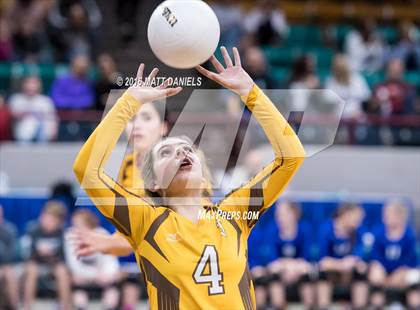 Thumbnail 1 in Montrose vs. Thomas Jefferson (CHSAA 4A Playoff) photogallery.