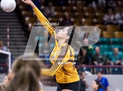 Thumbnail 2 in Montrose vs. Thomas Jefferson (CHSAA 4A Playoff) photogallery.