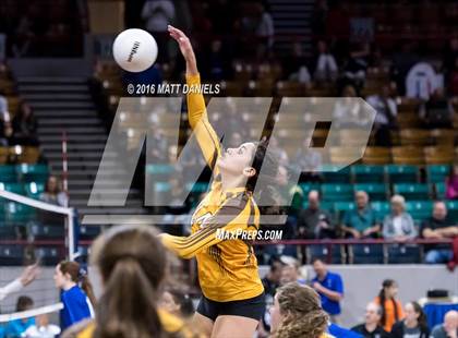 Thumbnail 1 in Montrose vs. Thomas Jefferson (CHSAA 4A Playoff) photogallery.