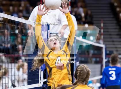 Thumbnail 2 in Montrose vs. Thomas Jefferson (CHSAA 4A Playoff) photogallery.