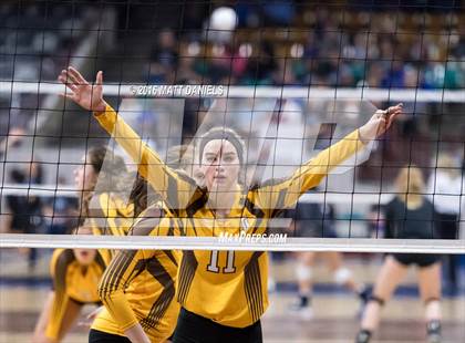 Thumbnail 3 in Montrose vs. Thomas Jefferson (CHSAA 4A Playoff) photogallery.