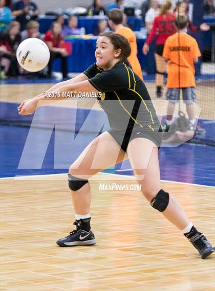 Thumbnail 1 in Montrose vs. Thomas Jefferson (CHSAA 4A Playoff) photogallery.