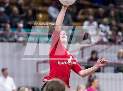 Thumbnail 3 in Montrose vs. Thomas Jefferson (CHSAA 4A Playoff) photogallery.