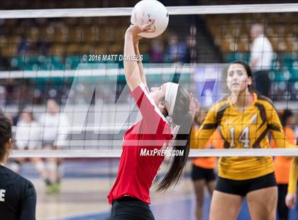 Thumbnail 1 in Montrose vs. Thomas Jefferson (CHSAA 4A Playoff) photogallery.