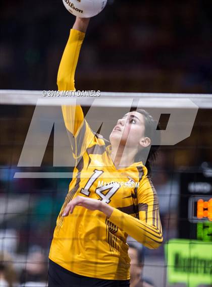 Thumbnail 1 in Montrose vs. Thomas Jefferson (CHSAA 4A Playoff) photogallery.