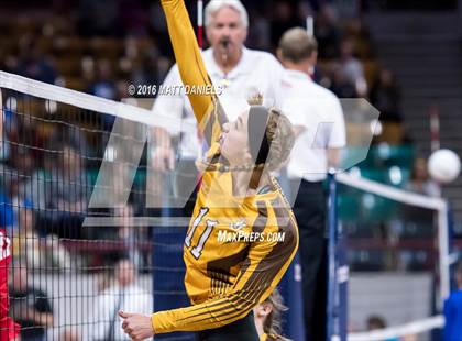 Thumbnail 3 in Montrose vs. Thomas Jefferson (CHSAA 4A Playoff) photogallery.