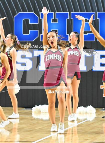 Thumbnail 3 in Desert Mountain - Dance Game Day Championships (AIA Division I) photogallery.