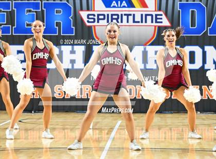 Thumbnail 2 in Desert Mountain - Dance Game Day Championships (AIA Division I) photogallery.