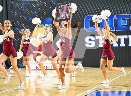 Thumbnail 3 in Desert Mountain - Dance Game Day Championships (AIA Division I) photogallery.