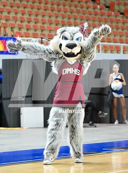 Thumbnail 3 in Desert Mountain - Dance Game Day Championships (AIA Division I) photogallery.